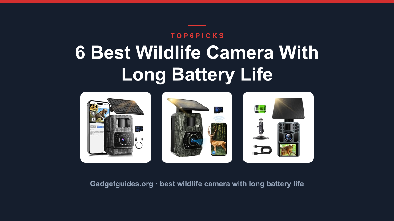 6 Best Wildlife Camera With Long Battery Life