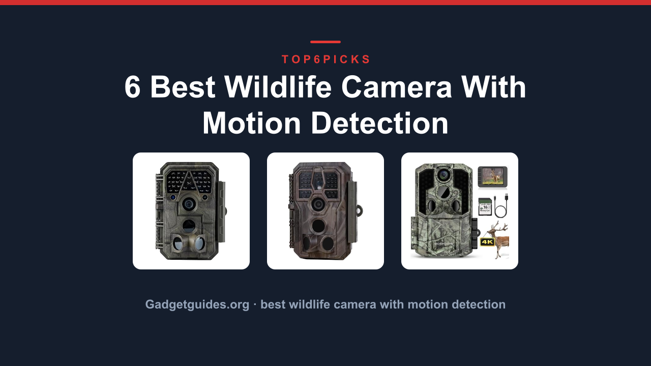 6 Best Wildlife Camera With Motion Detection