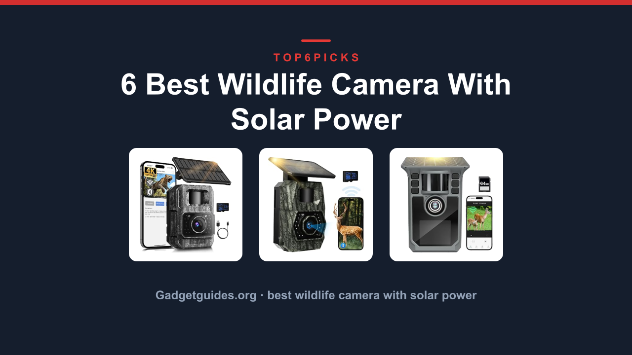 6 Best Wildlife Camera With Solar Power
