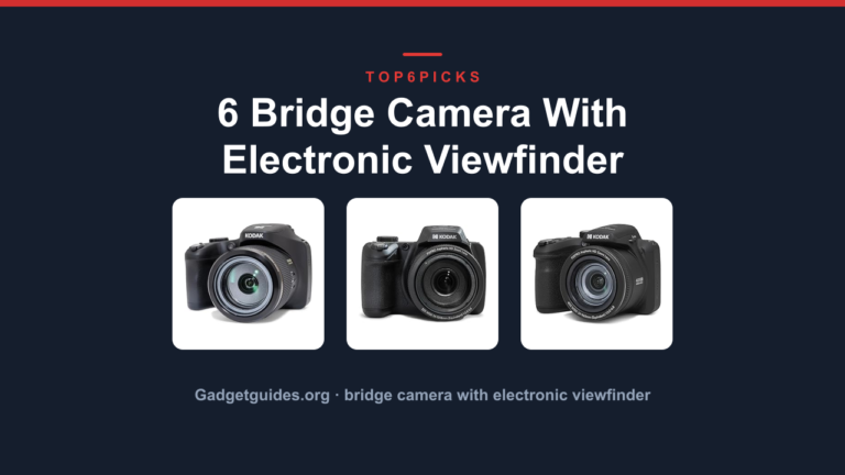 6 Bridge Camera With Electronic Viewfinder