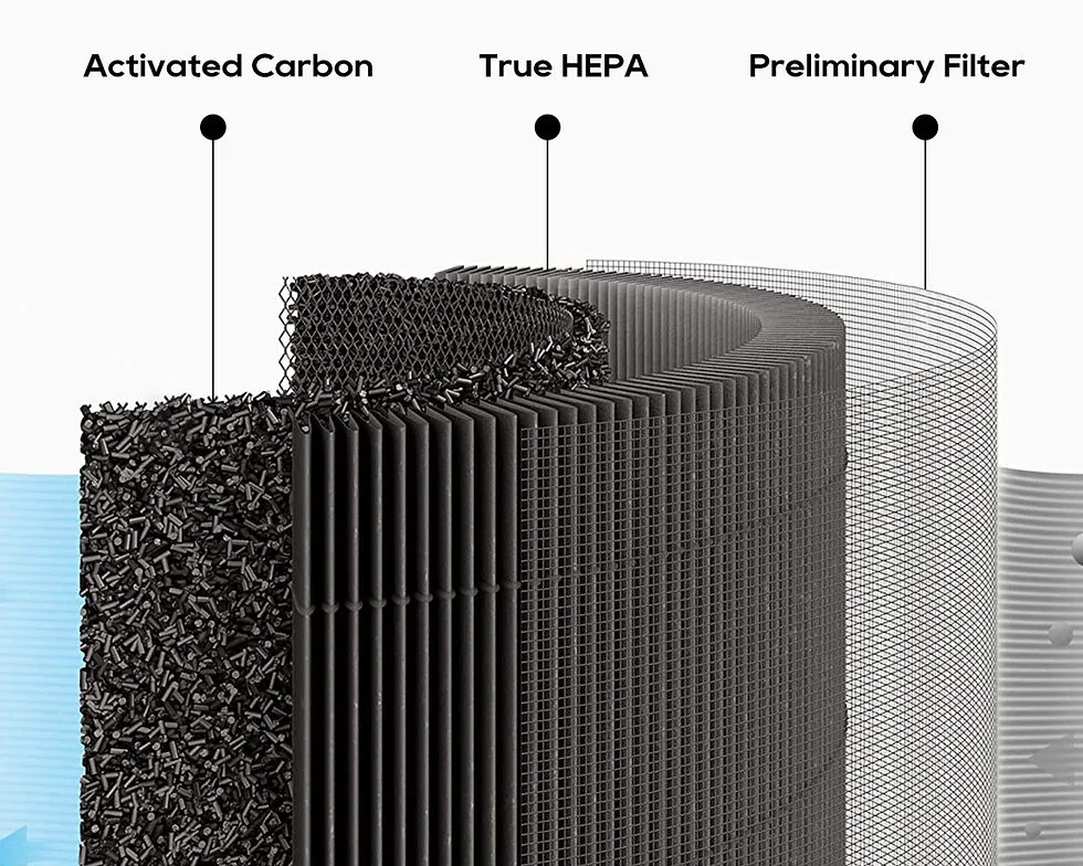 Activated carbon filter cross-section