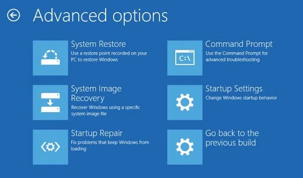 Advanced Startup Options