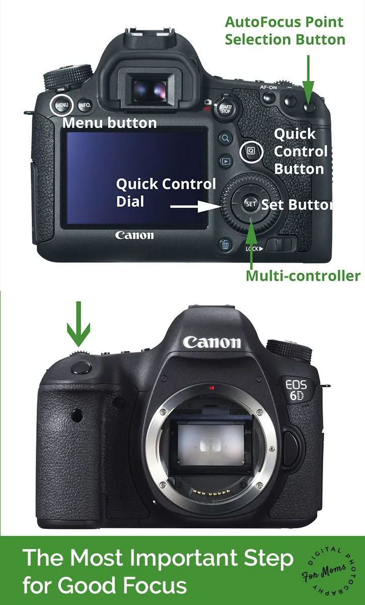 AF point selection button