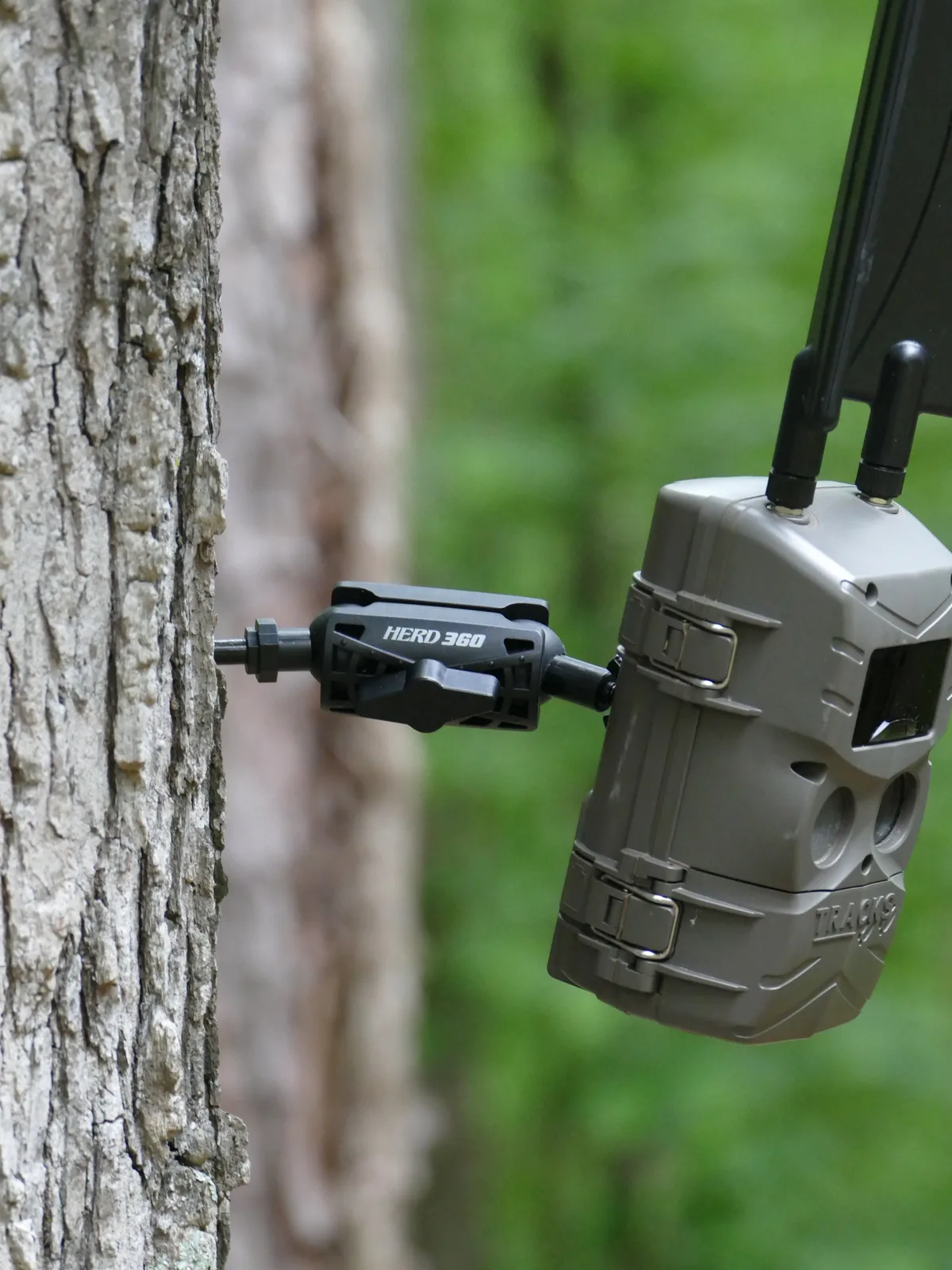 aiming trail camera pro tips