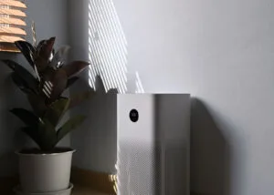 air purifier placement
