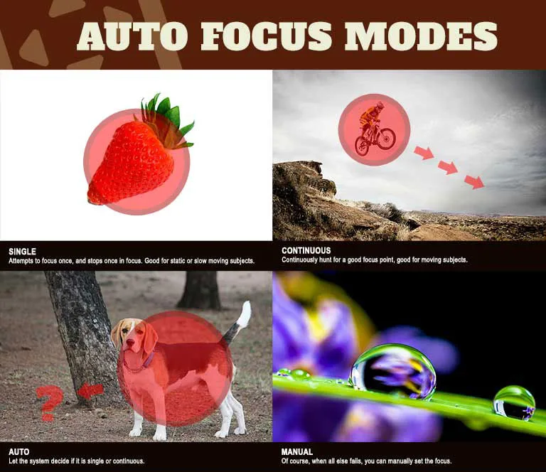 autofocus modes