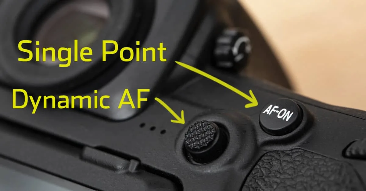 back-button autofocus