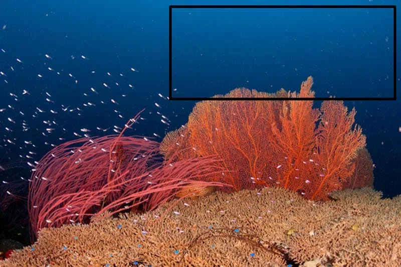 backscatter underwater photography