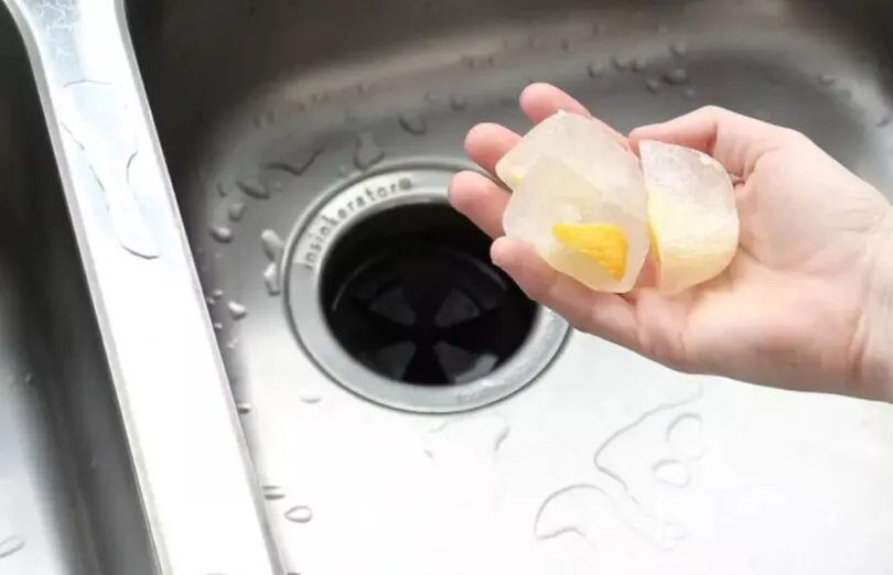 Badger 100 cleaning ice cubes