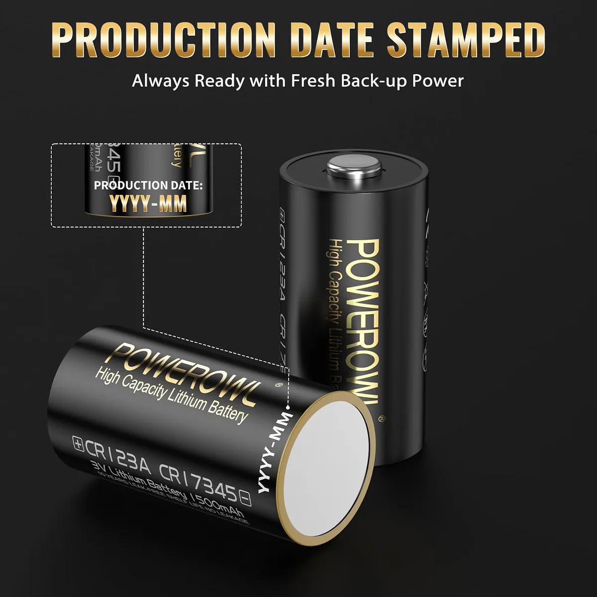 Battery Compartment
