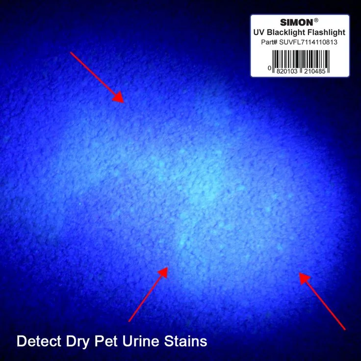 Blacklight (UV flashlight for urine detection)