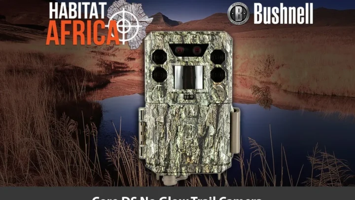 Bushnell Core DS No Glow Troubleshooting