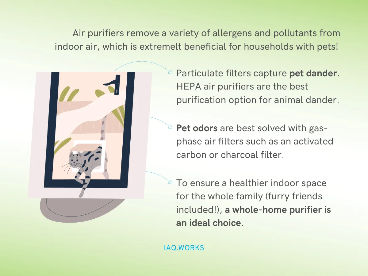Can Air Purifiers Remove Pet Dander