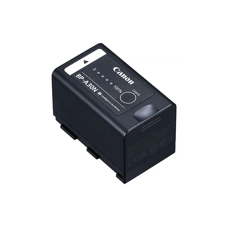 Canon BP-30 battery