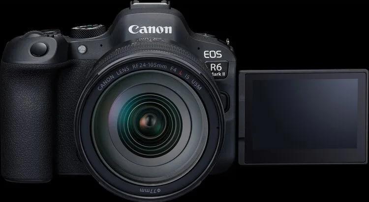 Canon EOS R6 wildlife photography