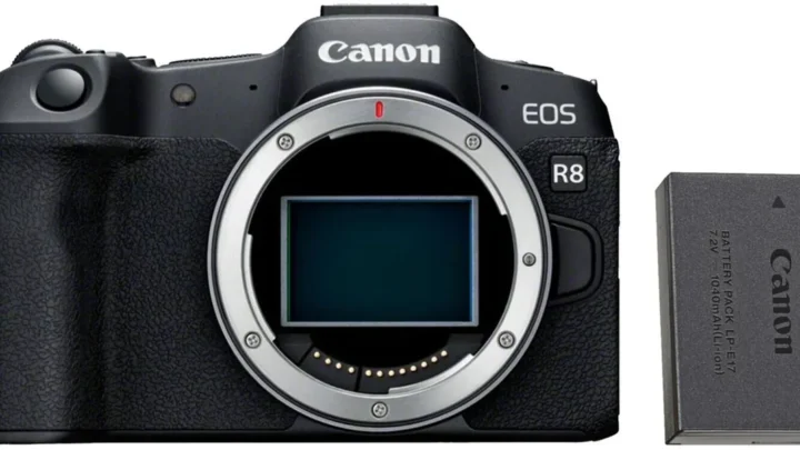 Canon EOS R8 Battery Problem