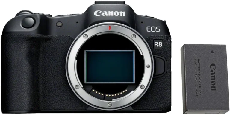 Canon EOS R8 battery problem