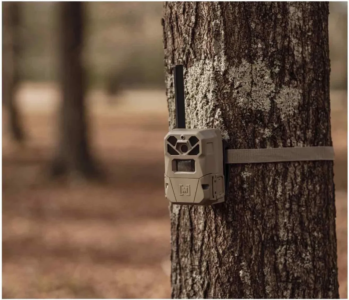Cellular trail camera