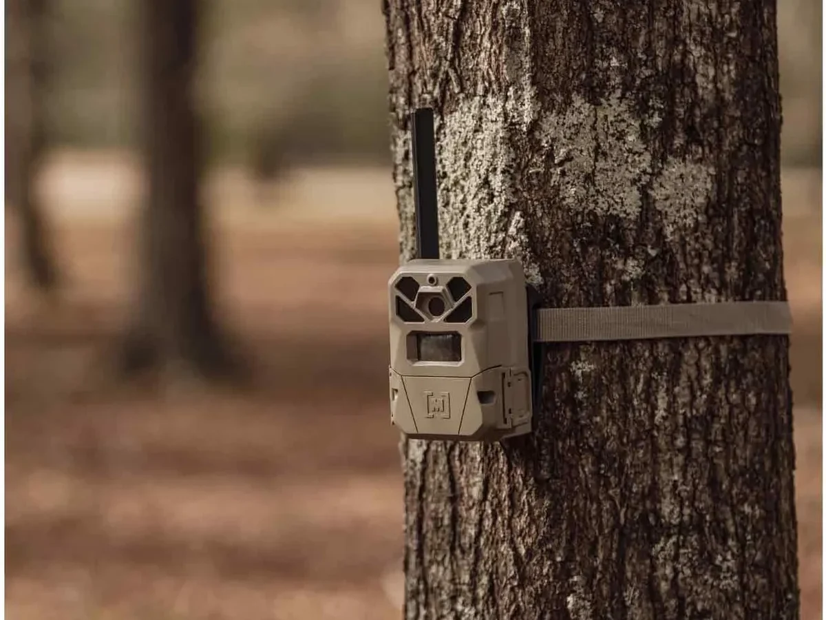 cellular trail camera