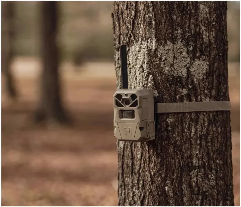 cellular trail camera