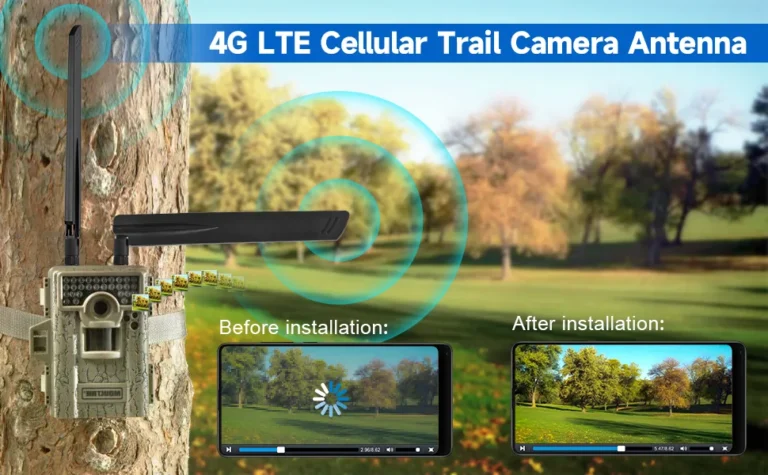 cellular trail camera setup