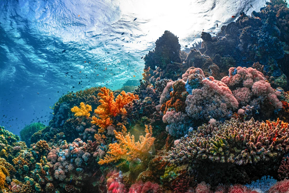 Color correction filter