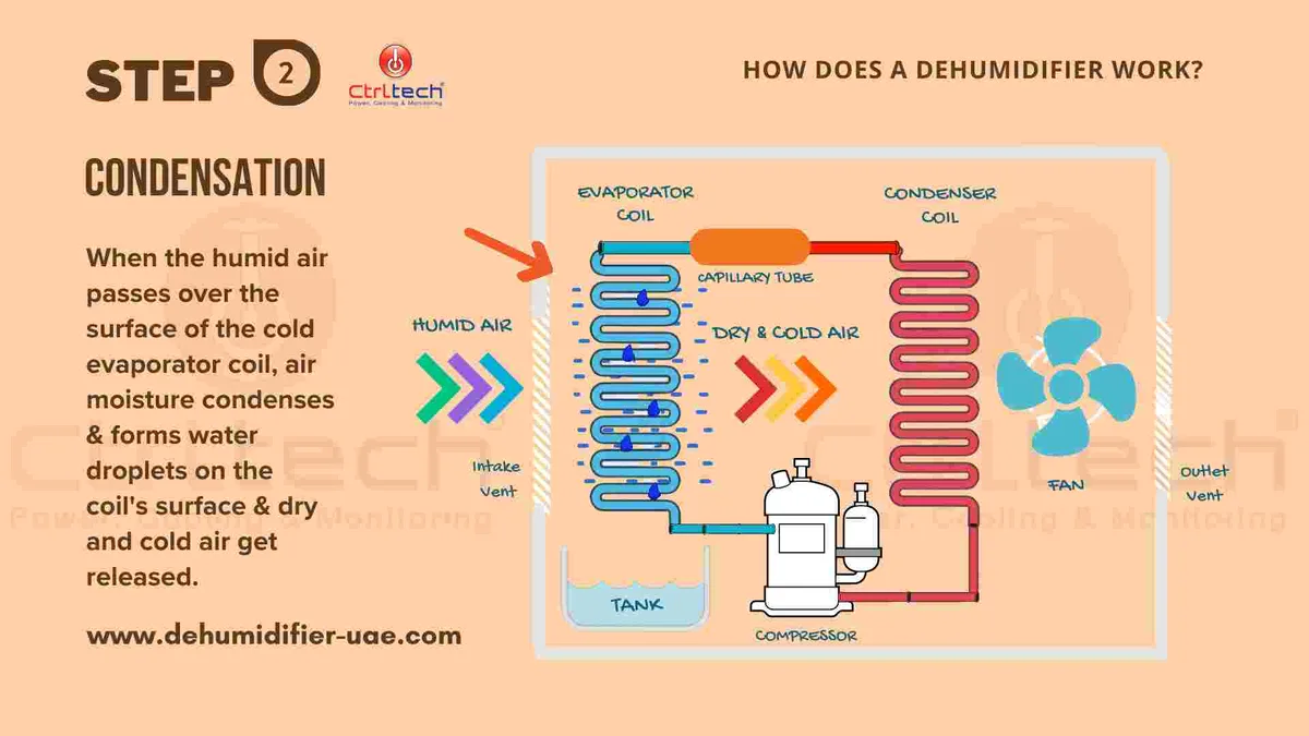 condensate pump system diagram