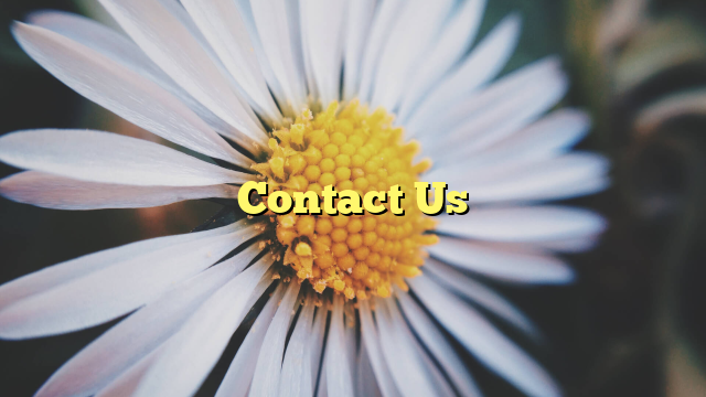 Contact Us