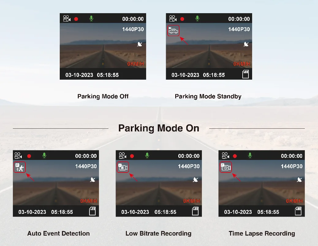 decision tree workflow