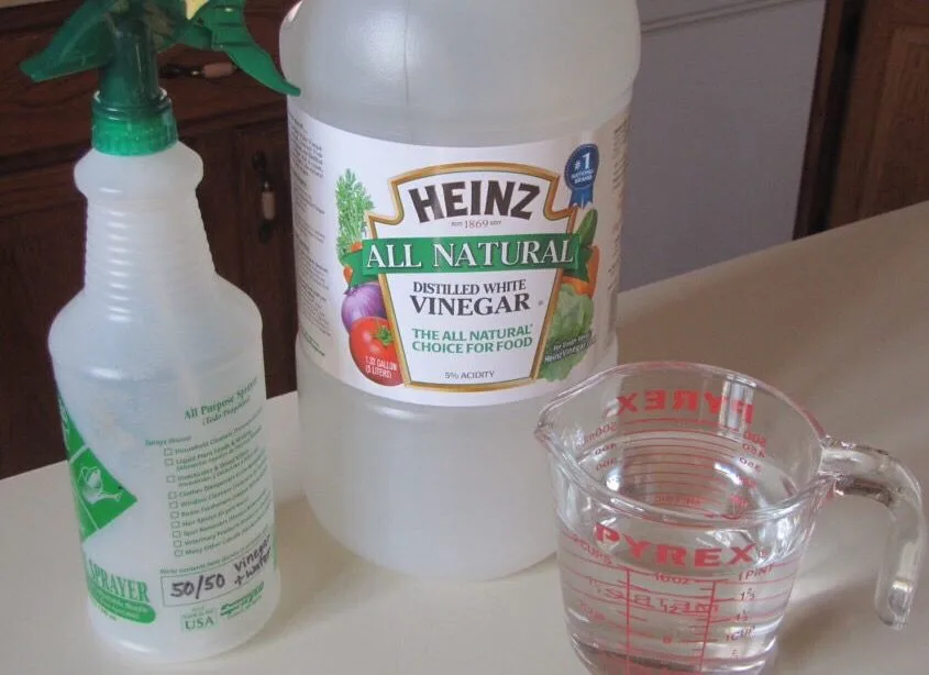 descaling vinegar solution