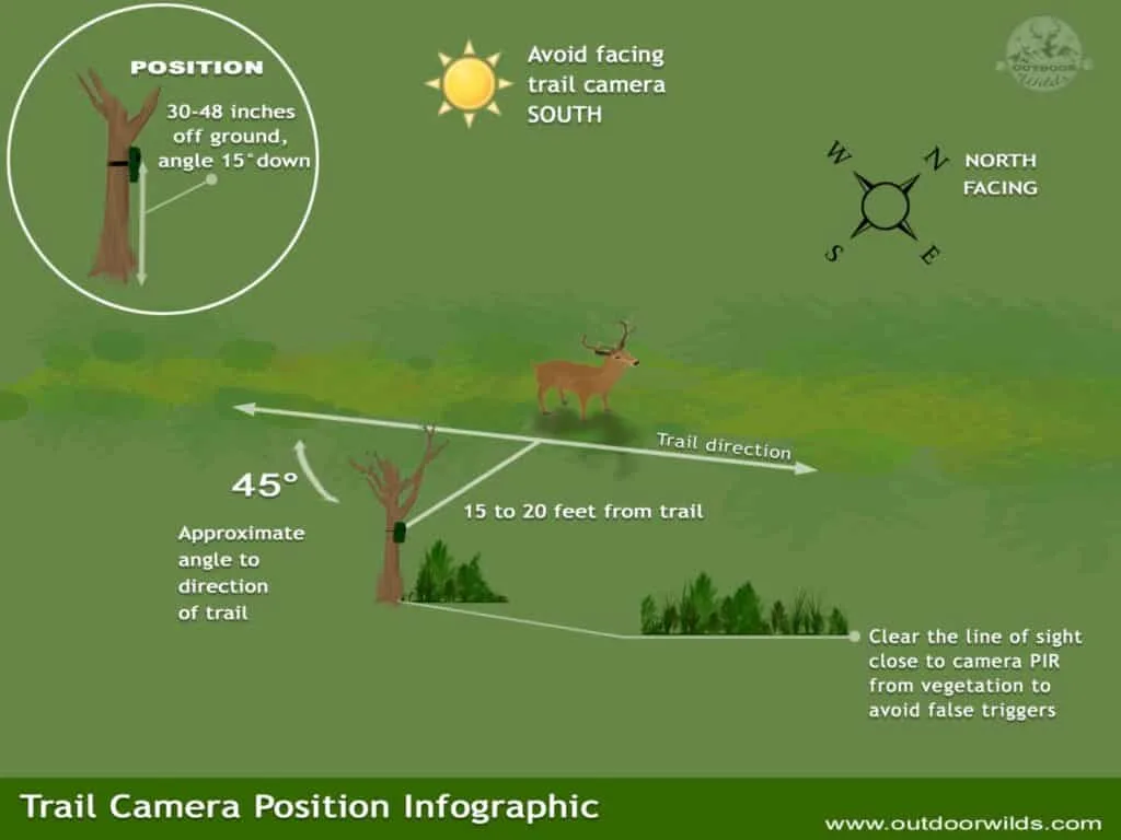 Detection zone