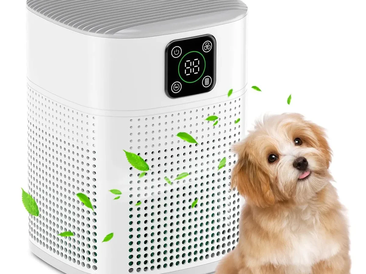 Do Air Purifiers Help With Dust Mites