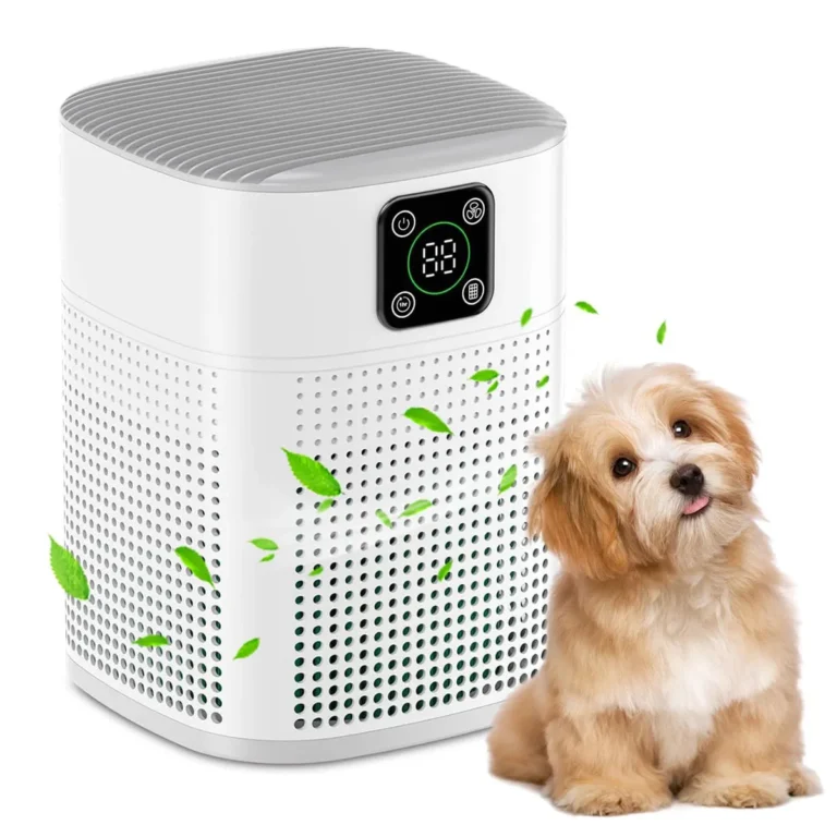 Do Air Purifiers Help With Dust Mites