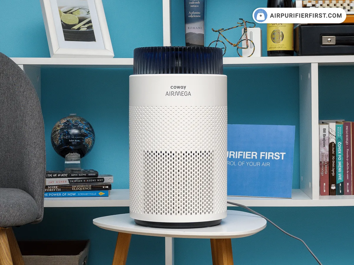 Do Air Purifiers Help With Eczema Triggers