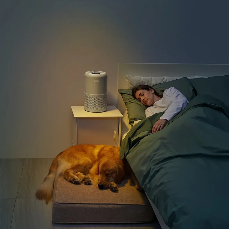 Do Air Purifiers Help With Pet Smells