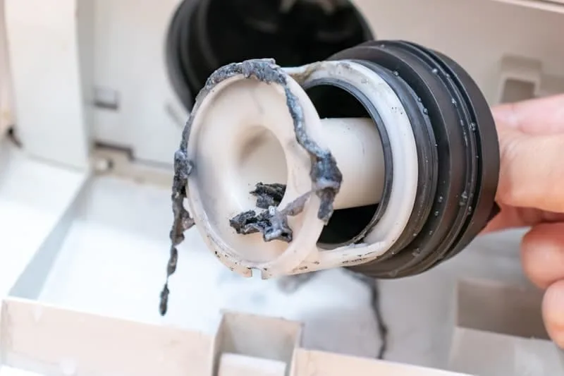 Drain pump filter / coin trap