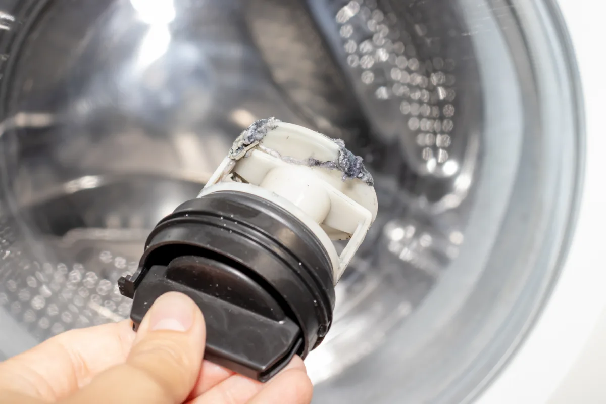drain pump filter