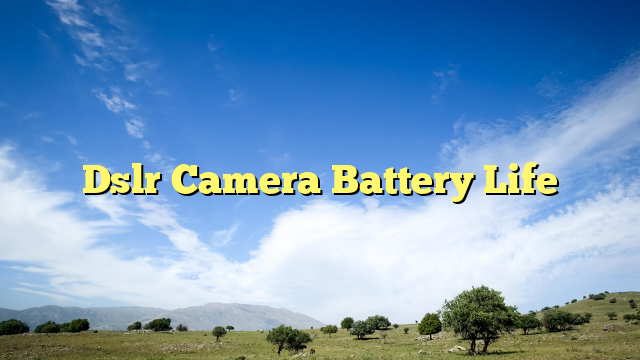 Dslr Camera Battery Life