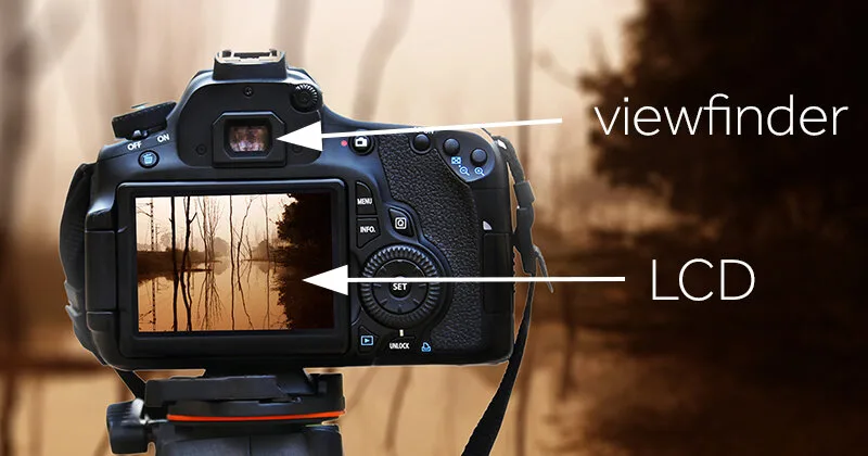 DSLR camera live view not working troubleshooting
