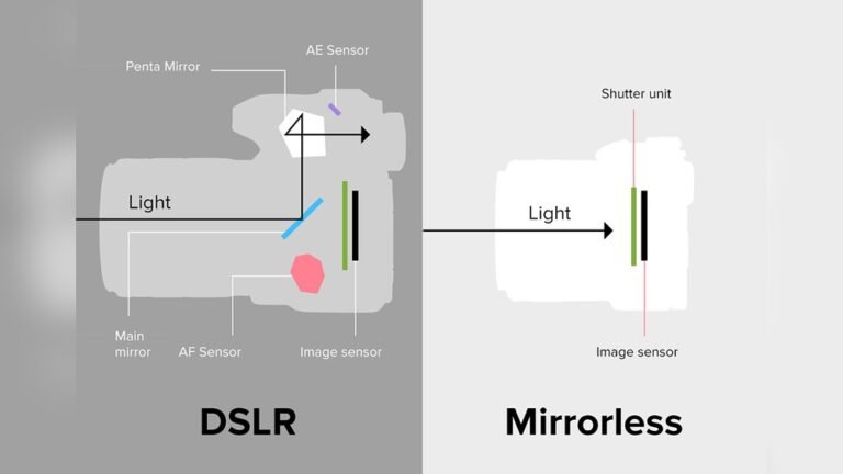 Dslr Vs Mirrorless Camera