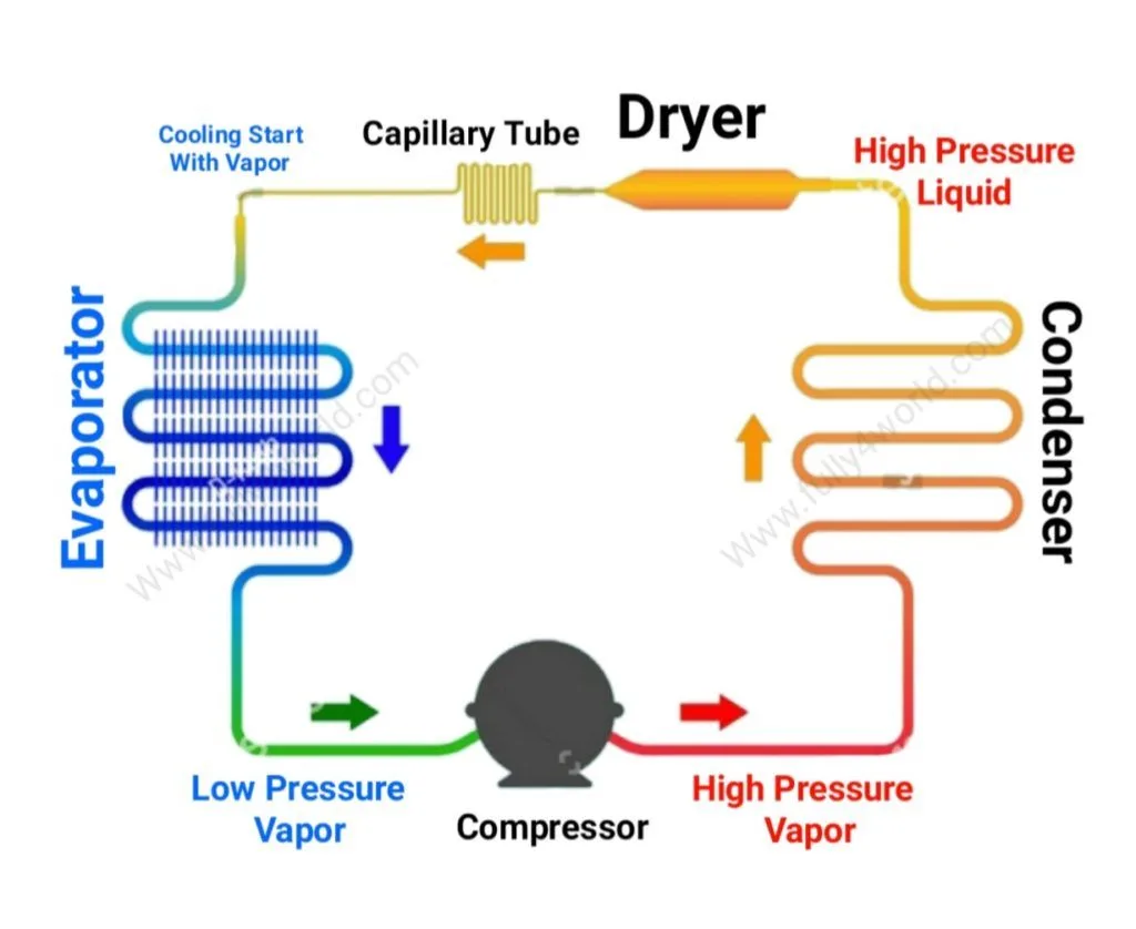 evaporator fan motor