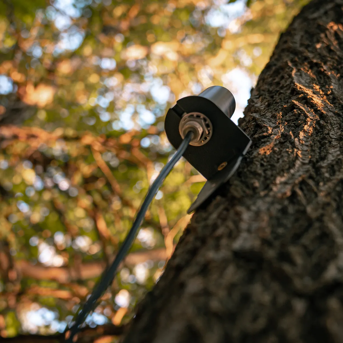 External antenna