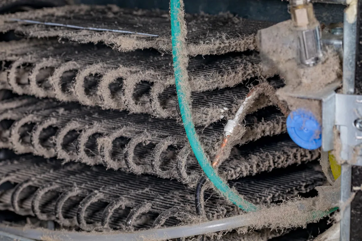 Freezer condenser coils dust