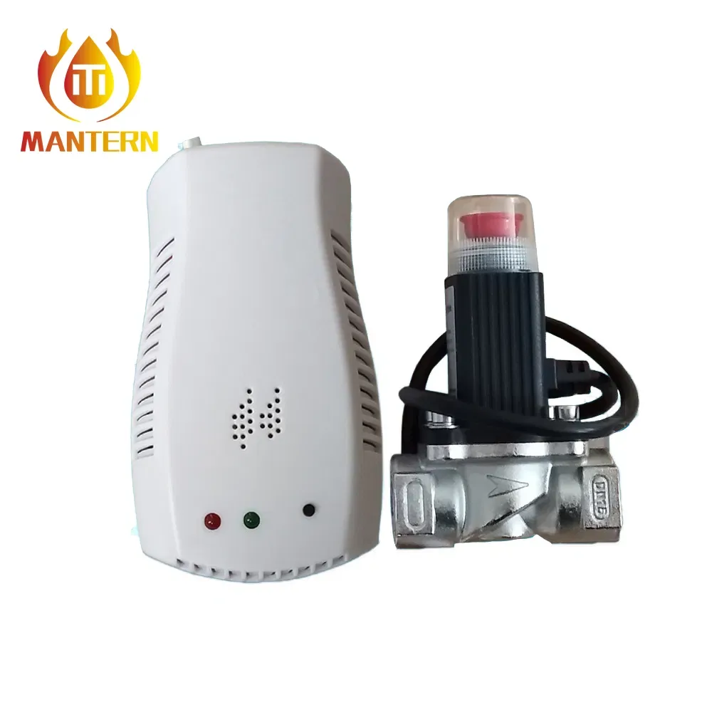 Gas detector installation
