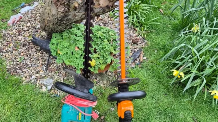 Gas Vs Electric Vs Cordless Power Hedge Trimmers