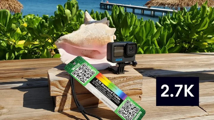 GoPro HERO11 How to Connect to Phone