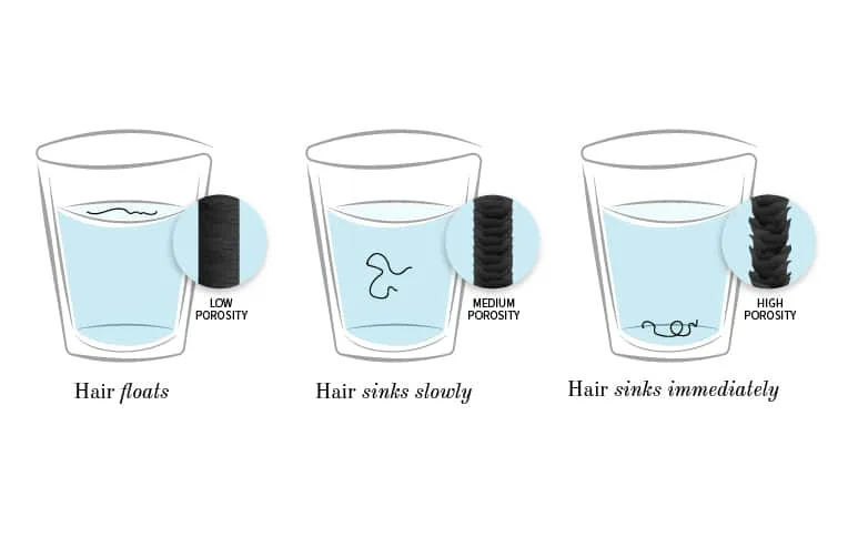 Hair porosity
