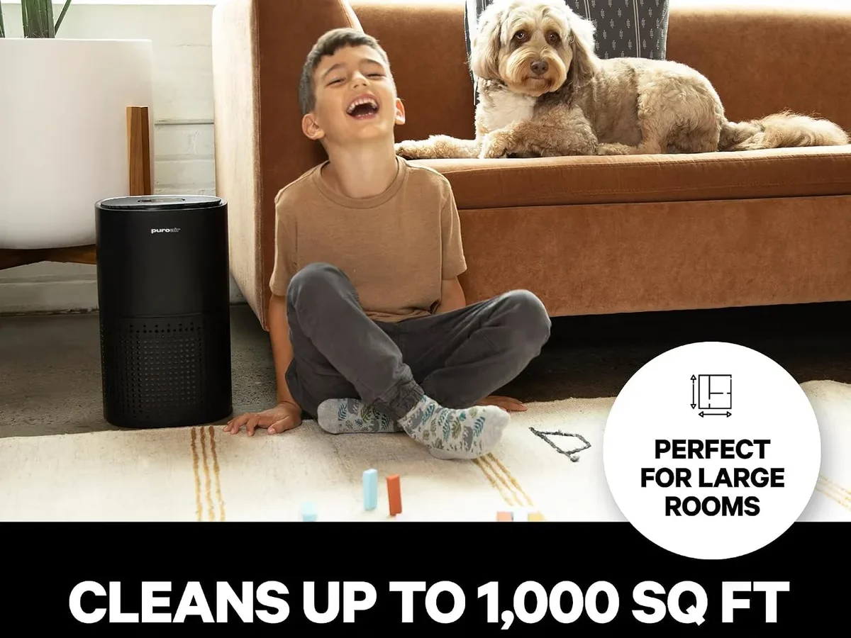 Hepa Air Purifier For Home