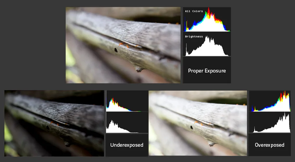 histogram