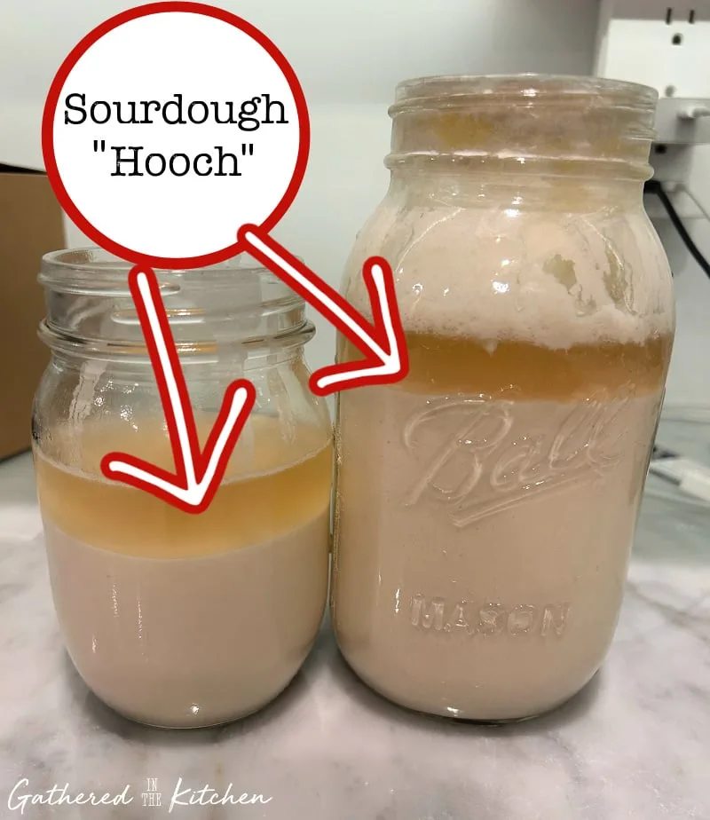 Hooch (liquid layer on starter)